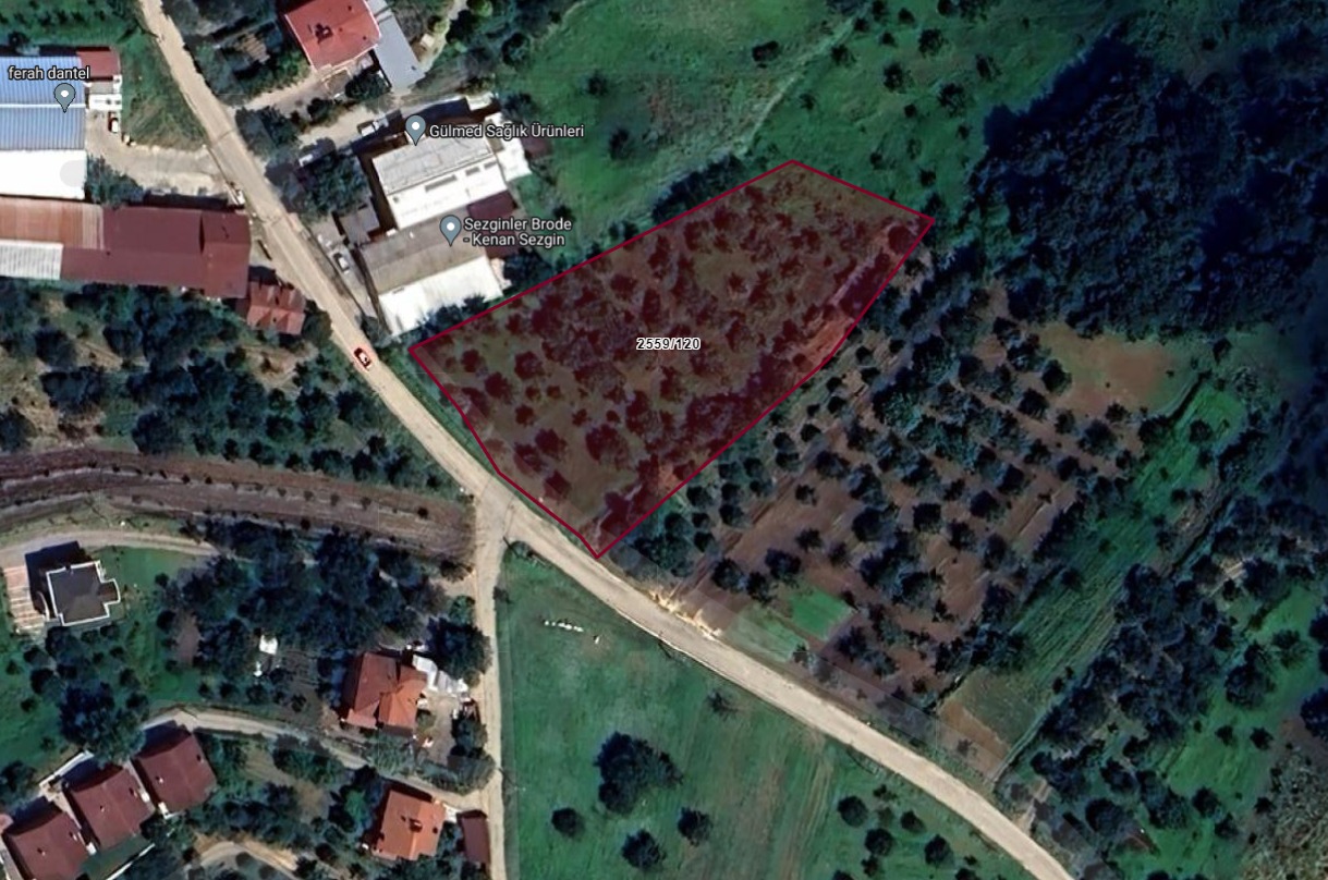 Şehre Yakın 4256 m² Villa İmarlı, Göl ve Orman Manzaralı Arsa